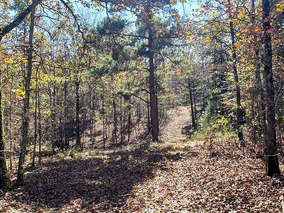 3rd image of County Road 1512