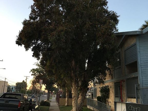 3rd image of 14733 Nelson Ave APT 103