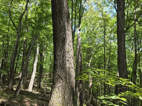 16 Seals Hollow Rd, Woodbury, TN 37190