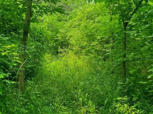 Johnston Rd, Sidney, OH 45365
