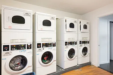 Rented by Bold New York