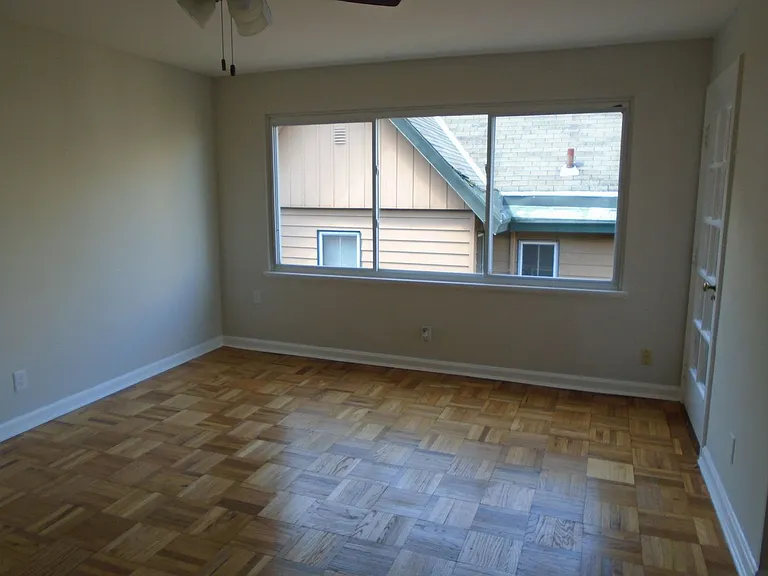 Hackberry - 2521 — Photo 7