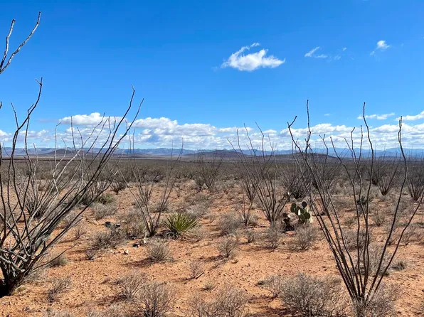 TBD W 39.918 AC LOT 23 -- W #23, Douglas, AZ 85607