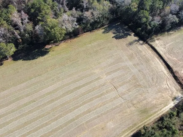 Off Of Hwy #917, Nichols, SC 29581