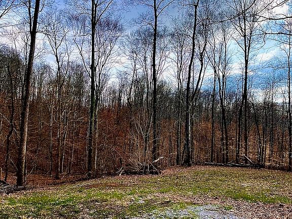 sits on 5 acres