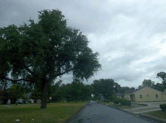 2nd image of 3615 Thomas Blvd