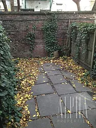 Rented by Alpha Properties NYC I LLC