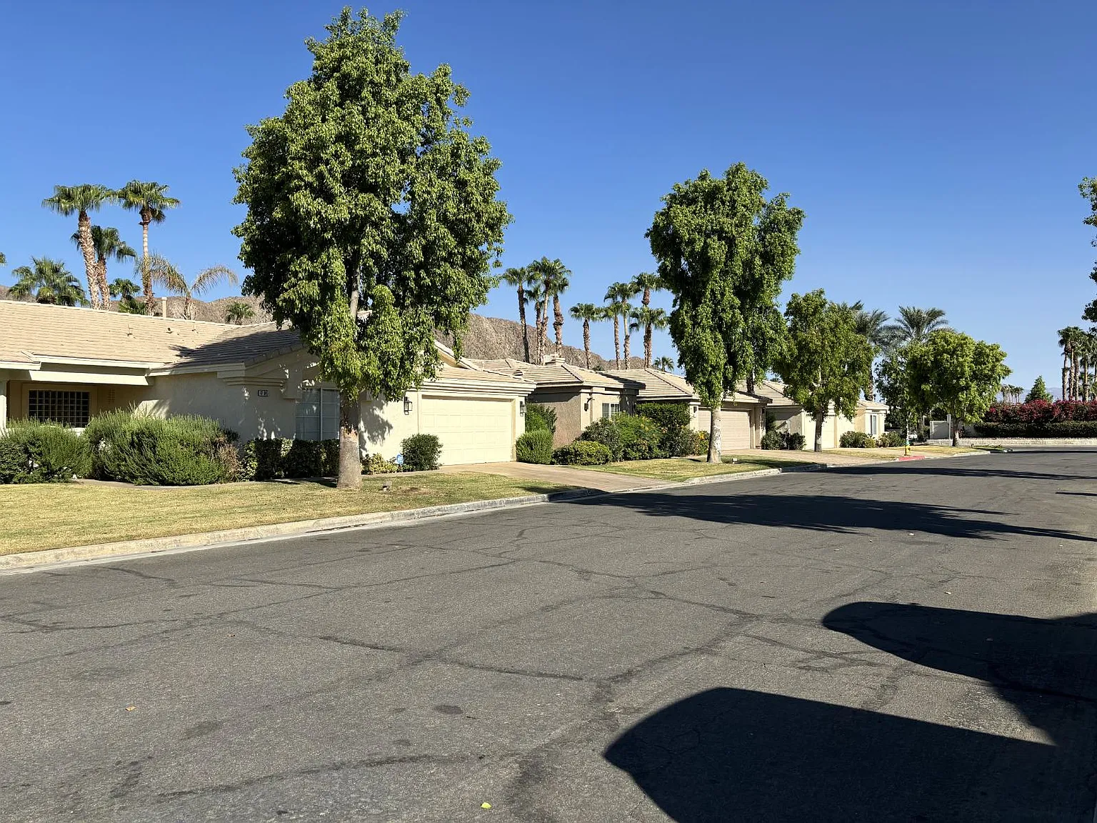 3 bed, 2.0 bath, 1959 sqft, $3,500 — Photo 2