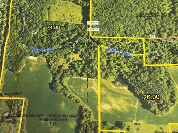 0 W Mount Morris Rd, Flushing, MI 48433