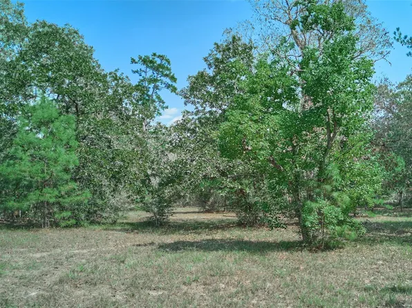 16039 Yaupon Berry, Plantersville, TX 77363