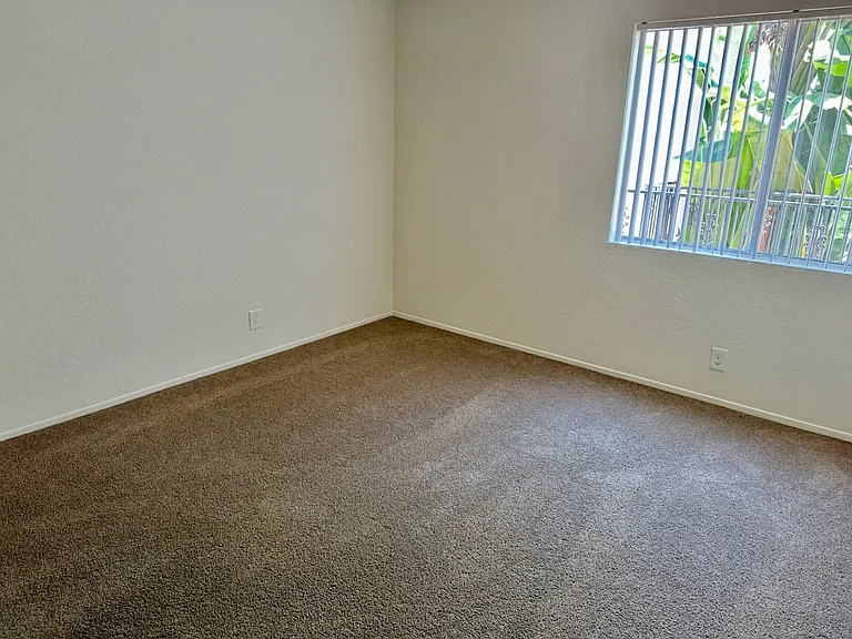 3972 Jackdaw St #207 — Photo 5