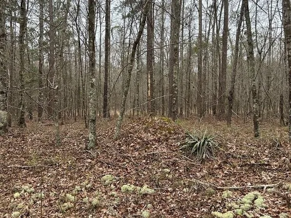 0 Jd Williams Rd, Cadwell, GA 31009