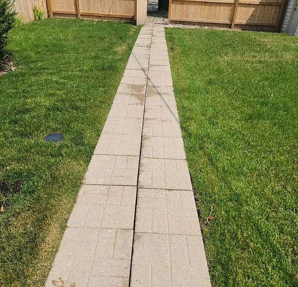 Backyard view towards garage