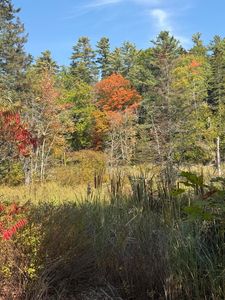 43 Front Street, Pembroke, ME, 04666