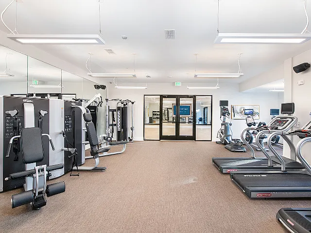 Flex - Fitness Center