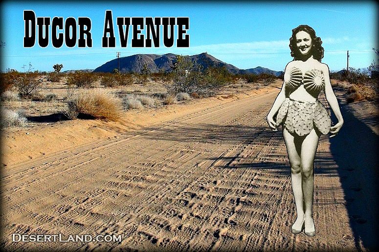 1st image of Ducor Avenue