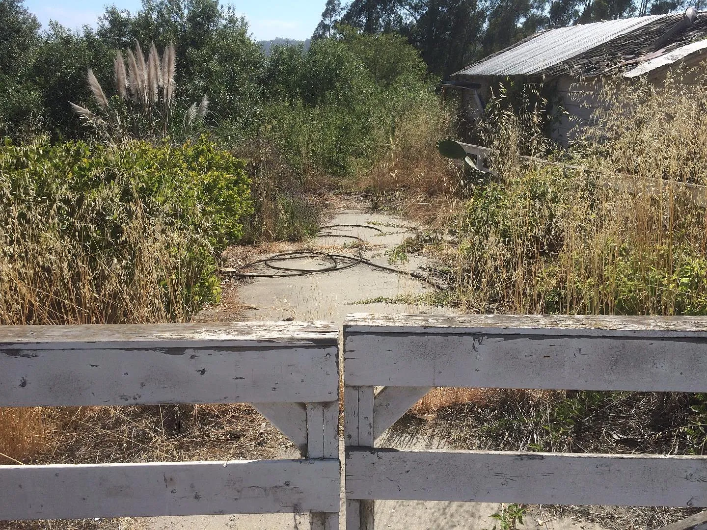 1049 Amesti Rd photo 1