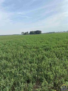 Linwood Rd, Linwood, KS, 66052