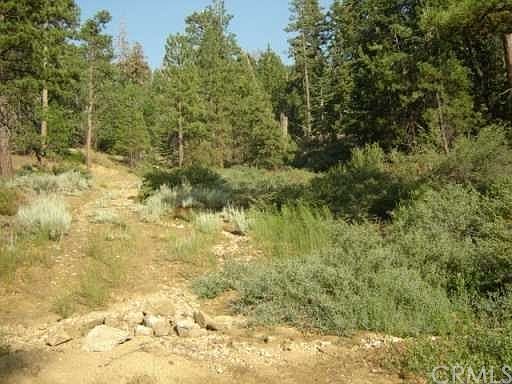 4th image of 946 Deertrail Ln