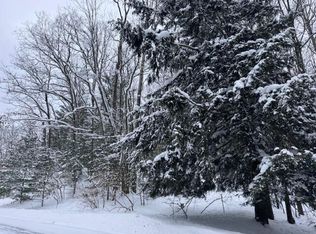 Frank Smith Rd, Chase, MI 49623