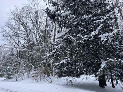 Frank Smith Rd, Chase, MI, 49623