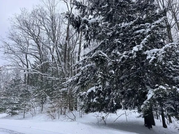 Frank Smith Rd, Chase, MI 49623