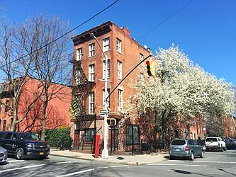 167 Hoyt Street in Boerum Hill