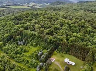 1593 Kiff Brook Rd, Bloomville, NY 13739