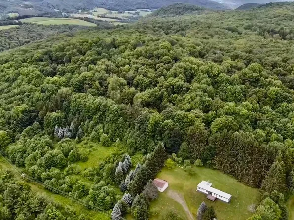 1593 Kiff Brook Rd, Bloomville, NY 13739