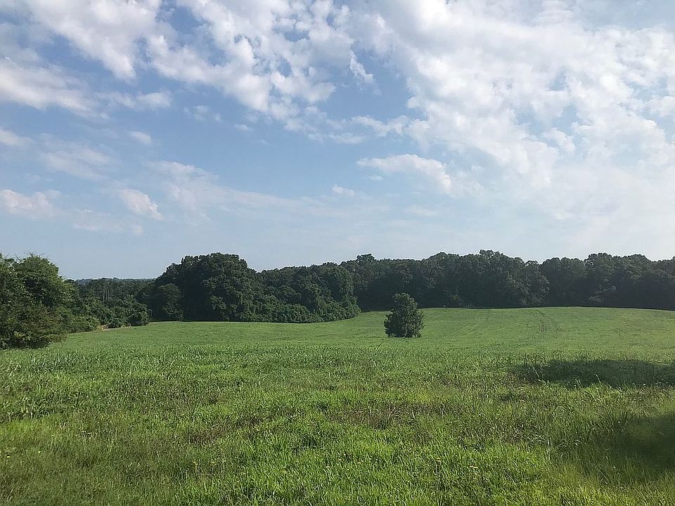 Front field