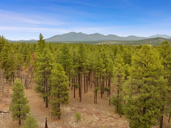 7804 E Long Bow Dr, Williams, AZ 86046