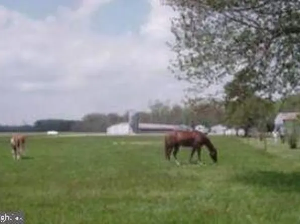 0 Richardson Rd, Willards, MD 21874