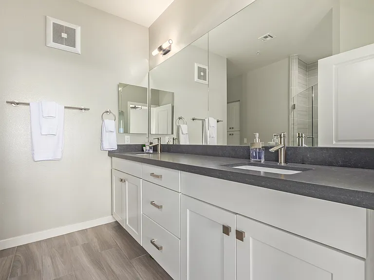 Master Bath with 2 Sinks