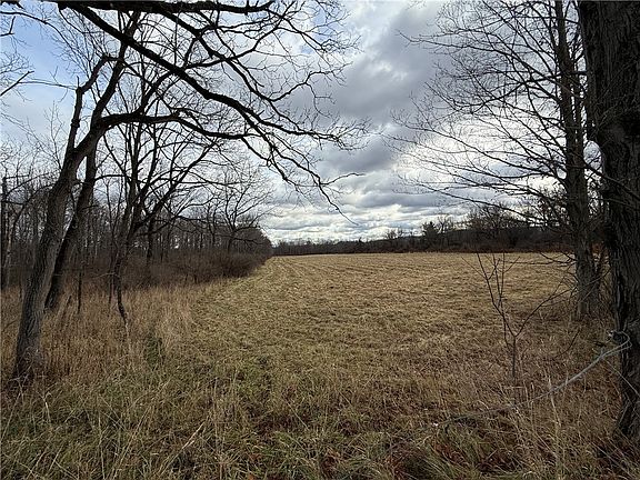 2nd image of Caswell Rd #33