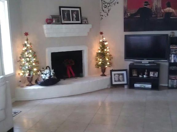 Living Room Fire Place