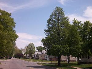3rd image of 2704 B Ave