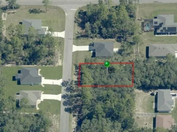 6439 N New Japan Ter, Citrus Springs, FL 34434