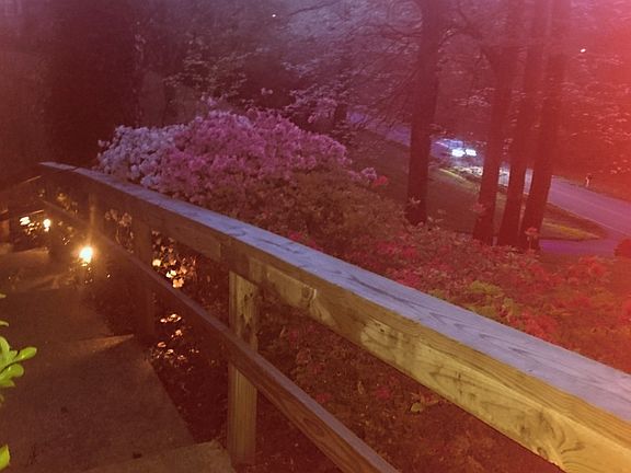 Front steps in the evening