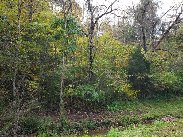 Lower Caney Valley Rd, Tazewell, TN 37879