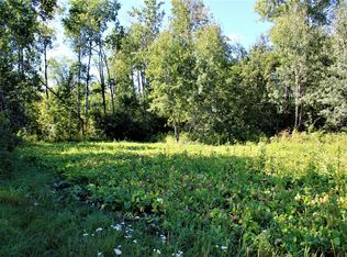 0 Binder Rd, National City, MI 48748