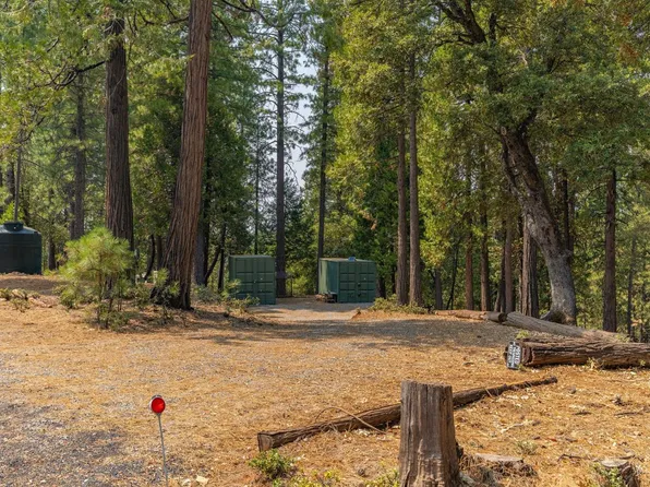 19412 Ponderosa Dr, Pioneer, CA 95666