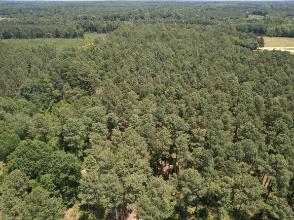 50 Pine Log Trl, Johnston, SC 29832