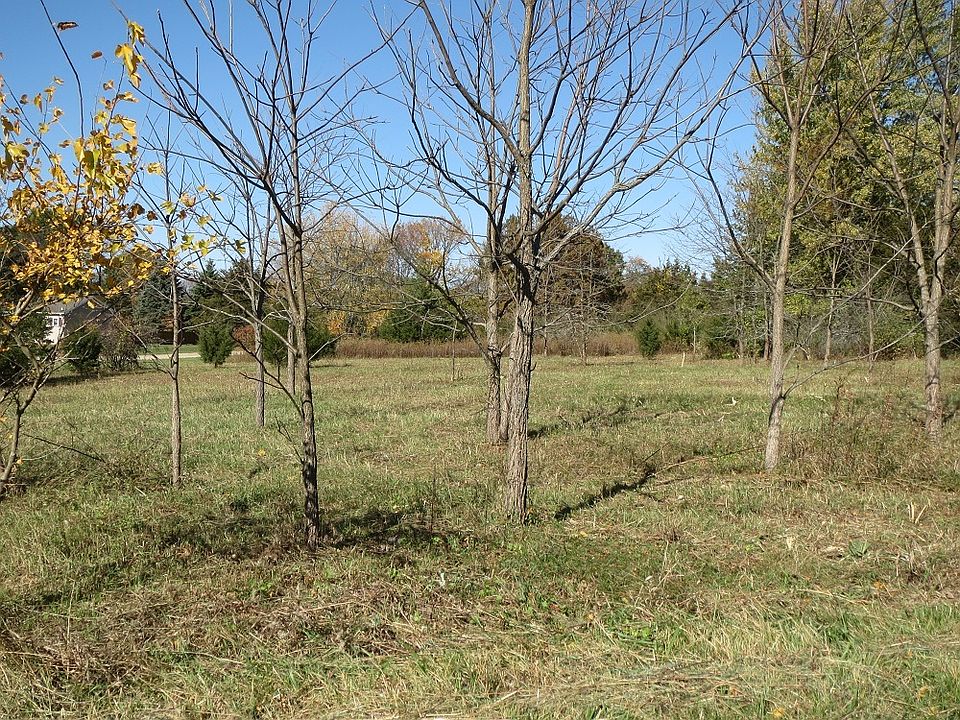2nd image of 311 Wild Rice Ln