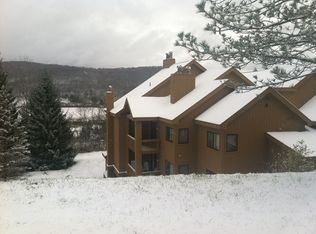 B103 Snowpine Vlg #B103, Ellicottville, NY 14731