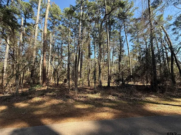 LOT 3 Private Road 8573, Winnsboro, TX 75494