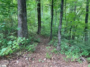 Goldenrod Way LOT 150, Landrum, SC 29356