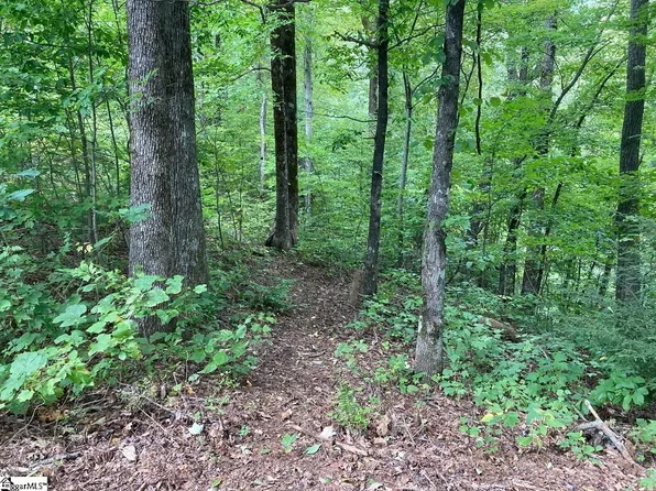 Goldenrod Way Lot 150, Landrum, SC 29356