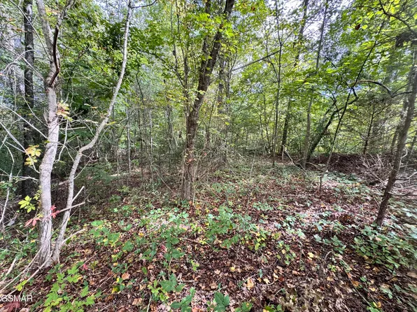 LOT 90 Owls Cove Way, Sevierville, TN 37862