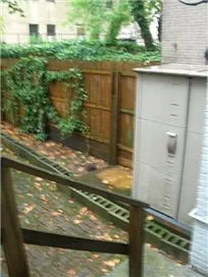 Rented by AJ Clarke | media 22