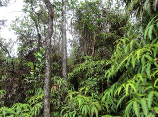 Ao Road Rd #2-LOT 2956, Mountain View, HI 96771